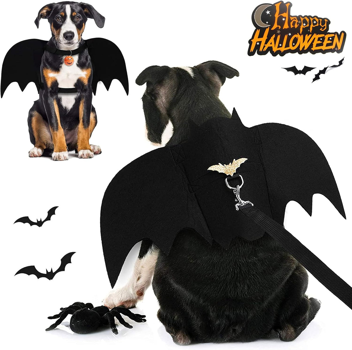Bat Wings Dog Costume