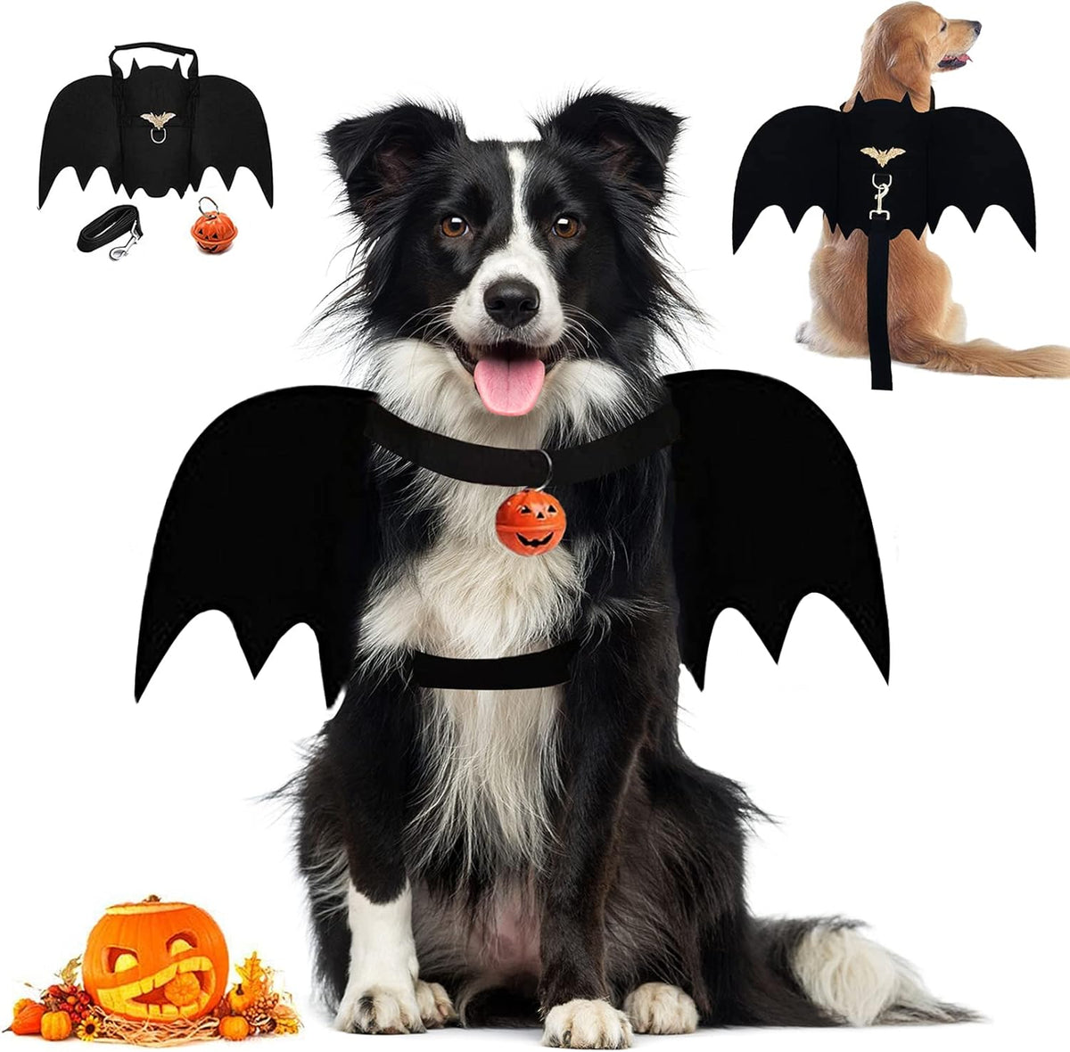 Bat Wings Dog Costume