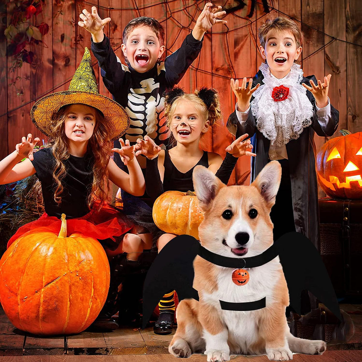 Bat Wings Dog Costume