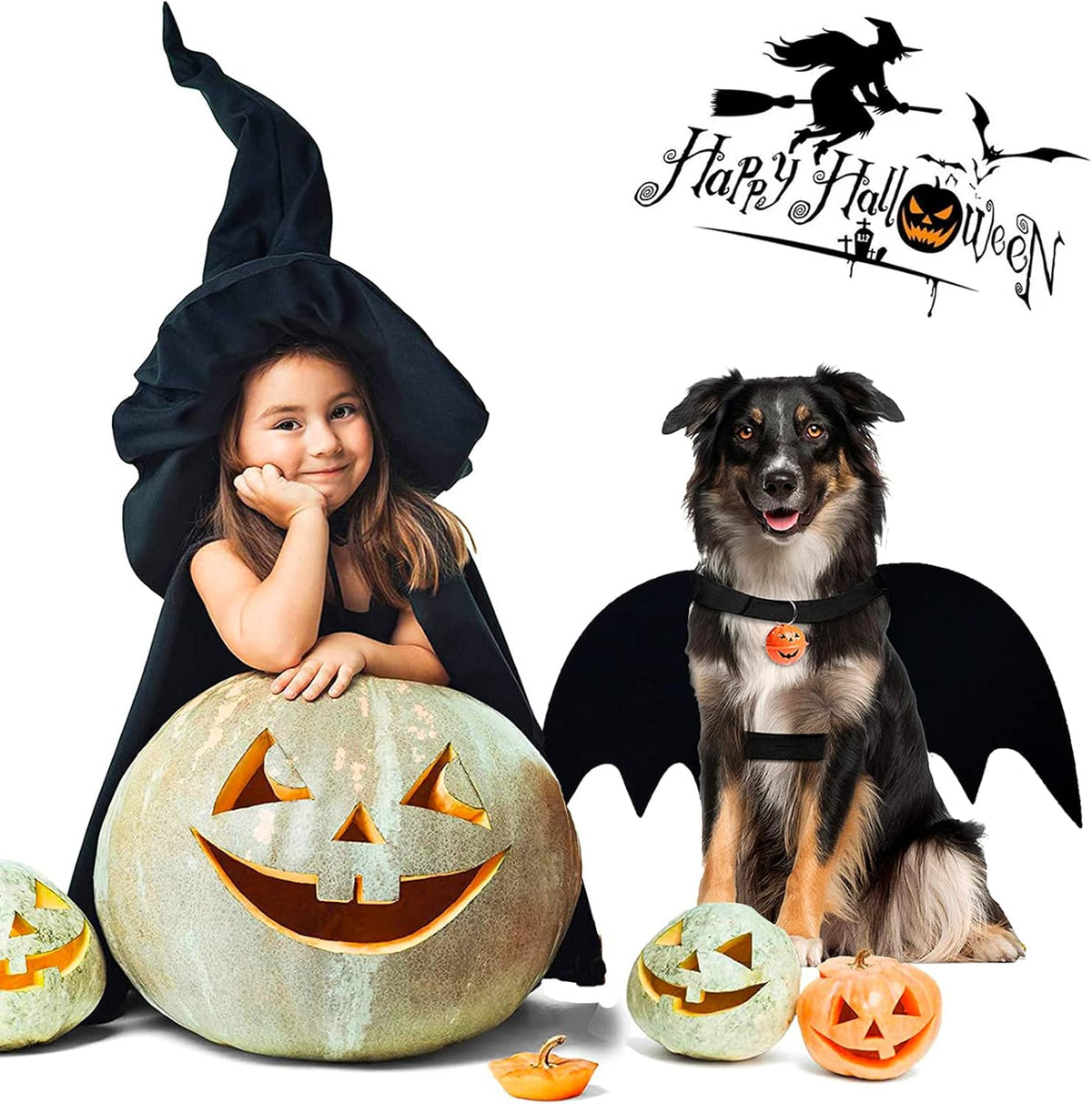 Bat Wings Dog Costume