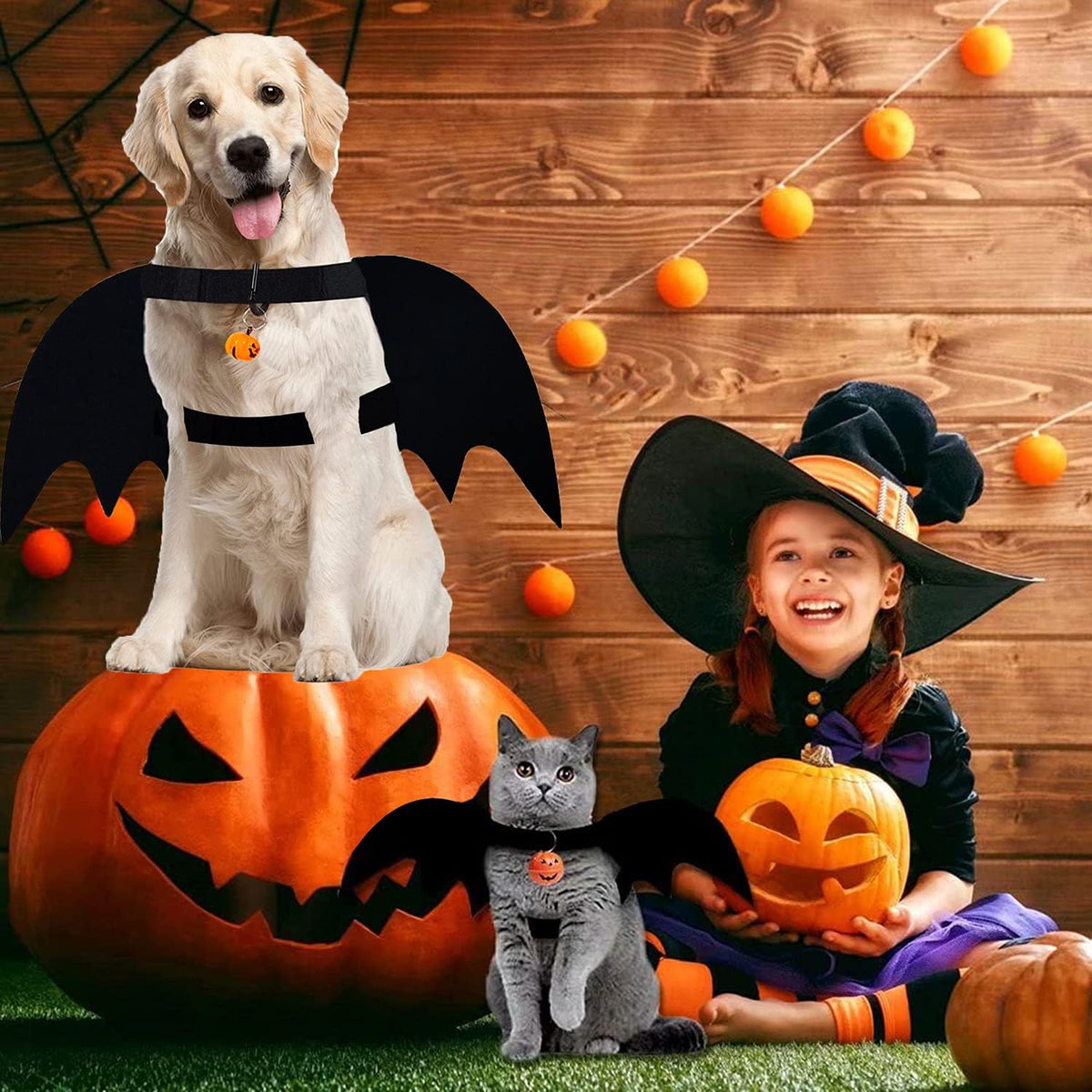 Bat Wings Dog Costume