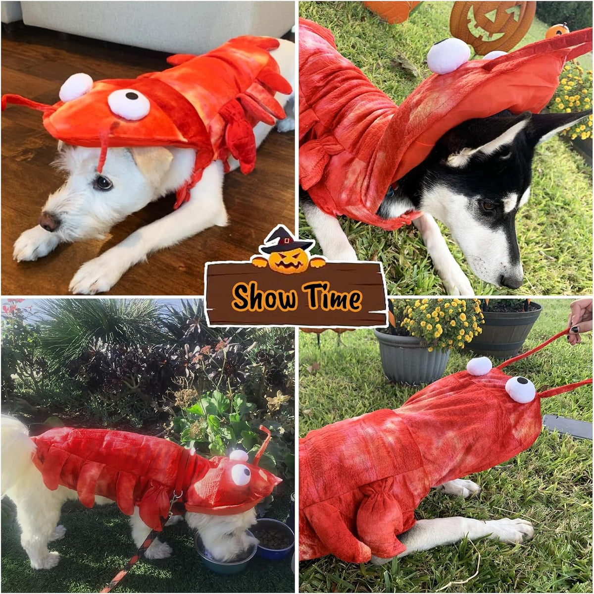 Lobster Dog Costume