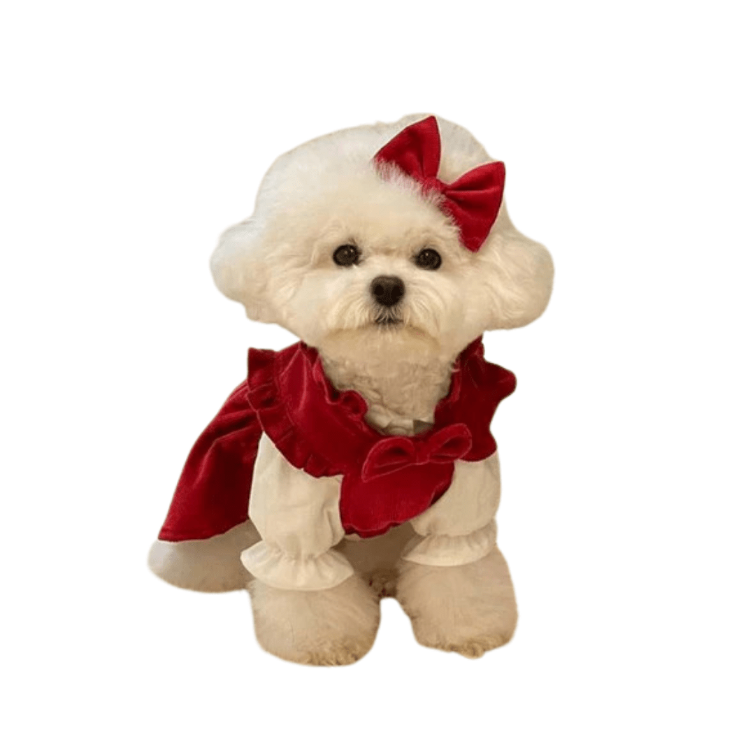 RubyBelle Three-Piece Dog Dress Set