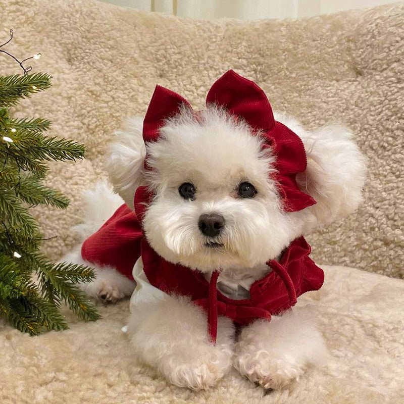 RubyBelle Three-Piece Dog Dress Set