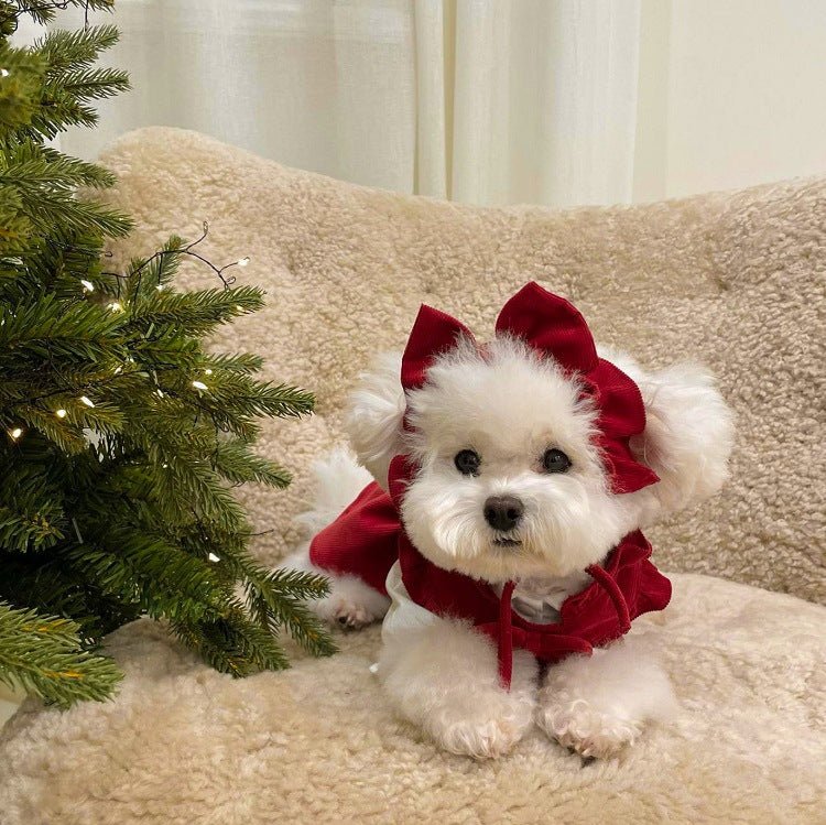RubyBelle Three-Piece Dog Dress Set