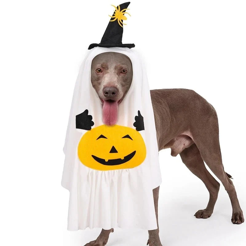 Pumpkin Ghost Pet Costume
