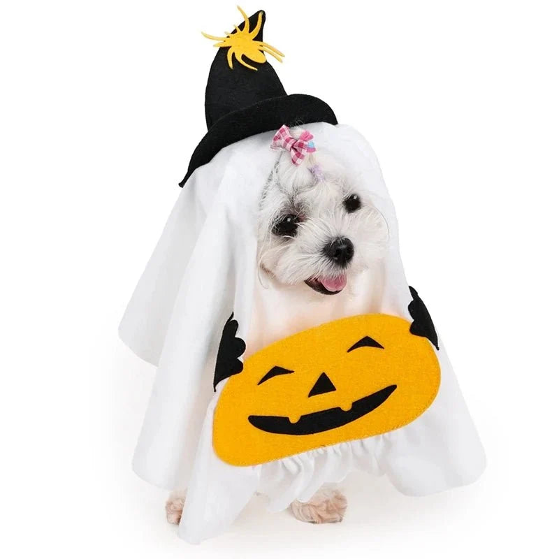 Pumpkin Ghost Pet Costume