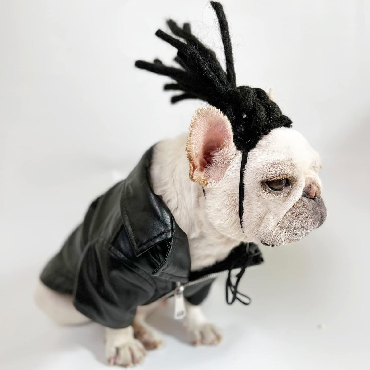 Funny Pet Costume Wigs