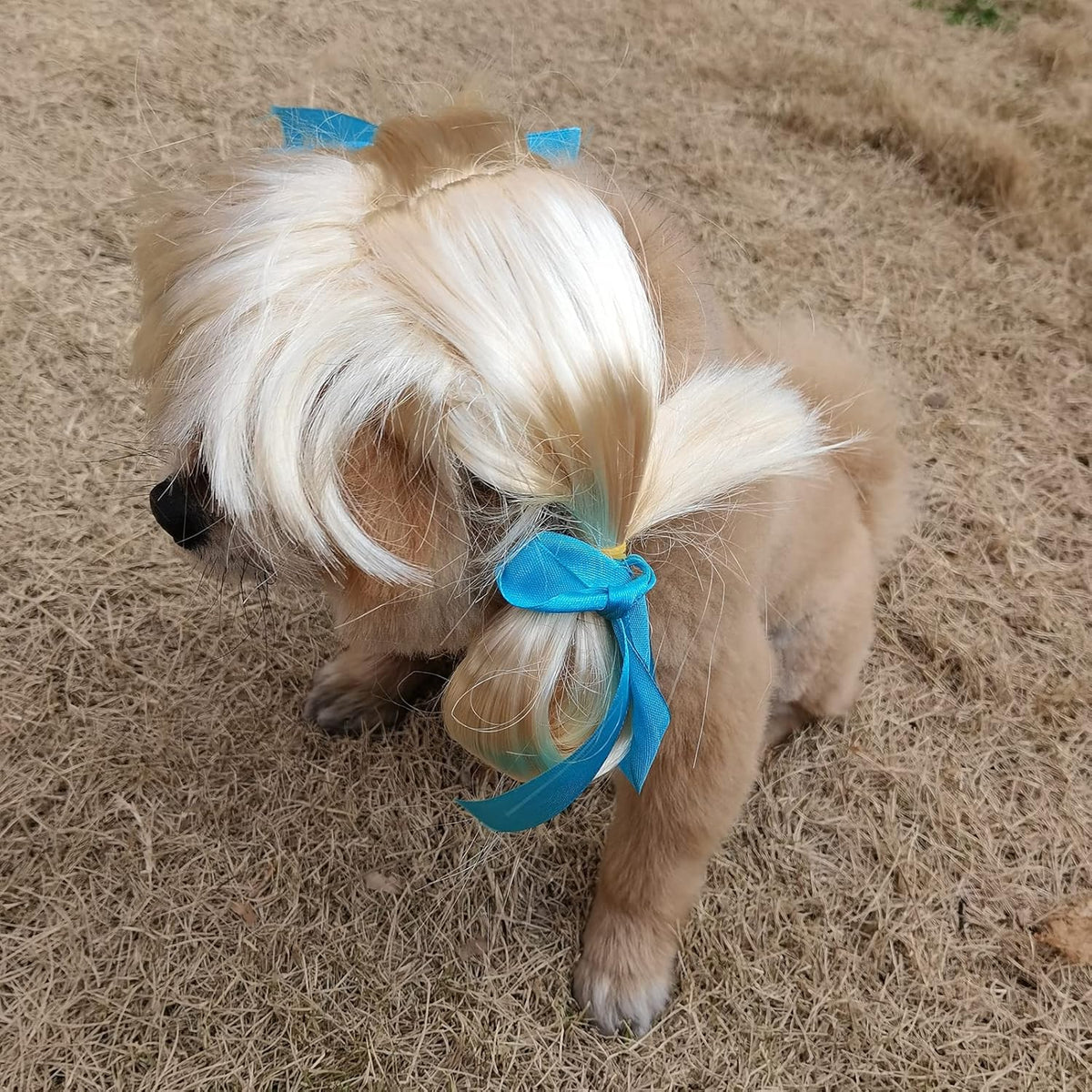 Funny Pet Costume Wigs