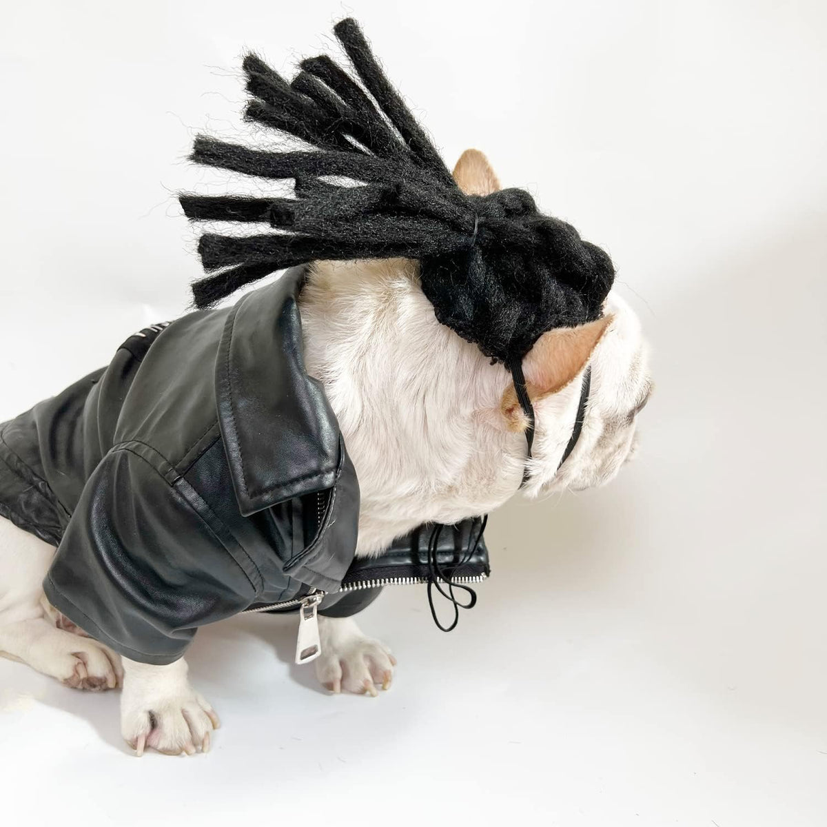 Funny Pet Costume Wigs