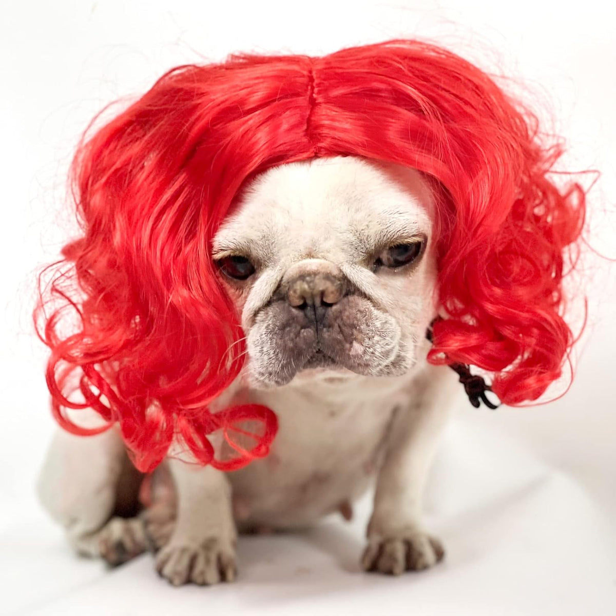 Funny Pet Costume Wigs