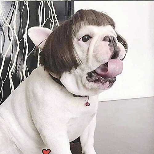 Funny Pet Costume Wigs