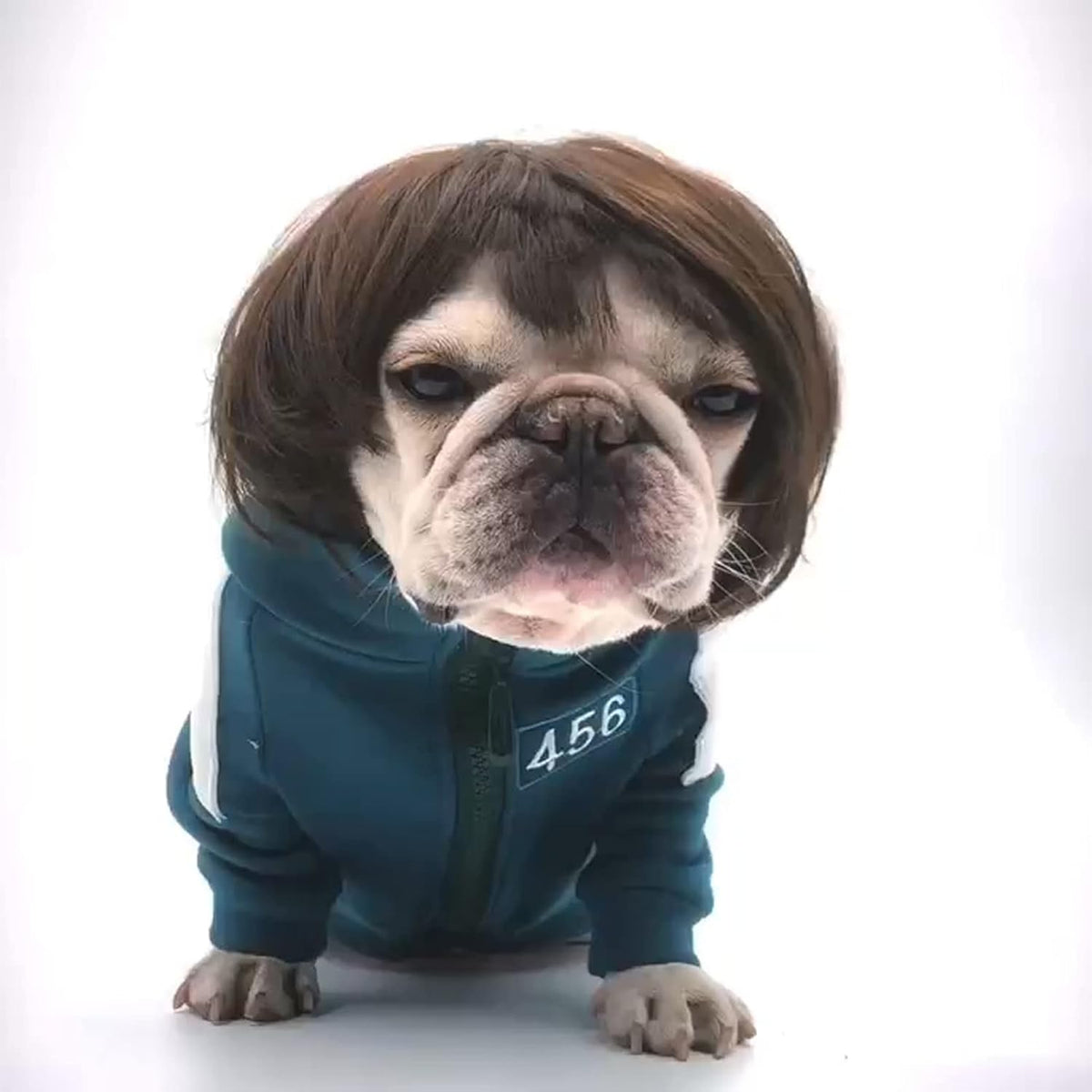 Funny Pet Costume Wigs