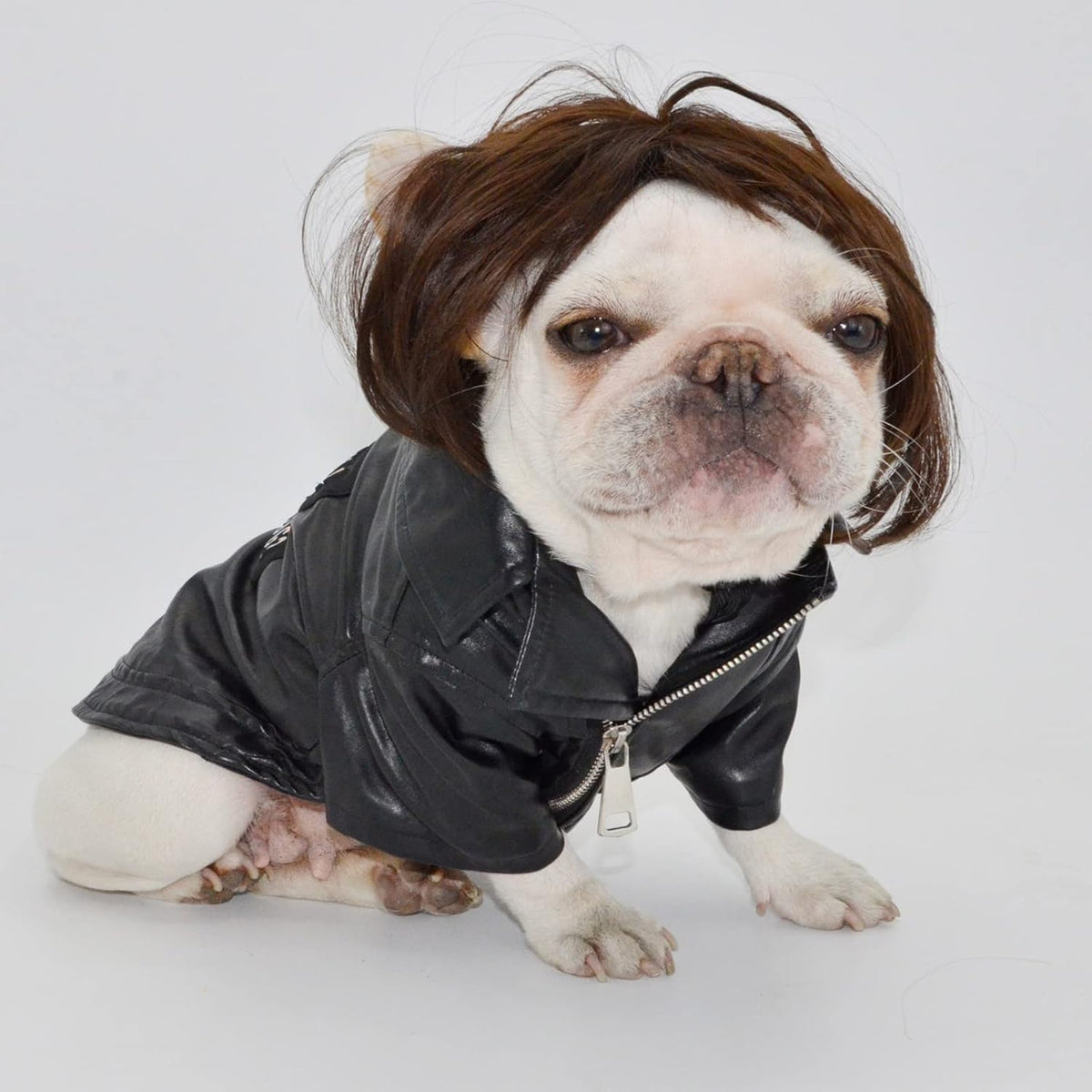 Funny Pet Costume Wigs