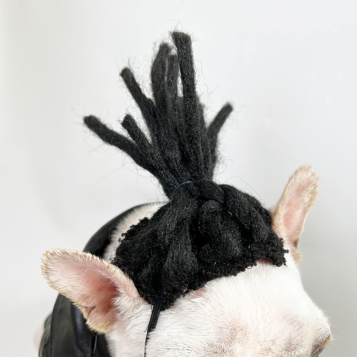 Funny Pet Costume Wigs