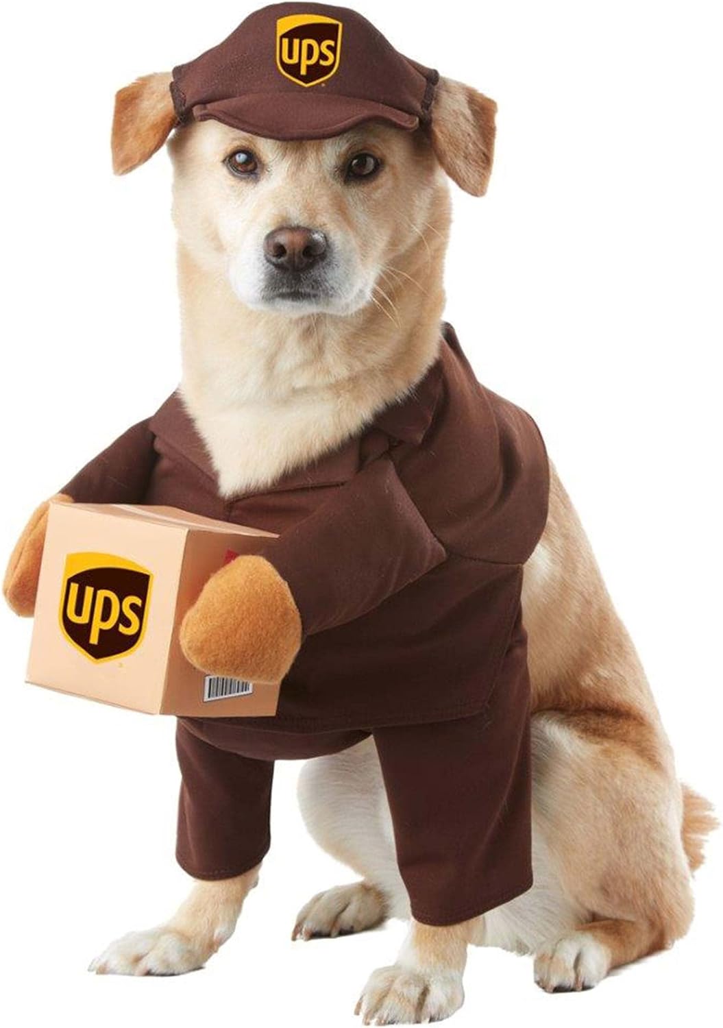 Delivery Driver Dog Costume