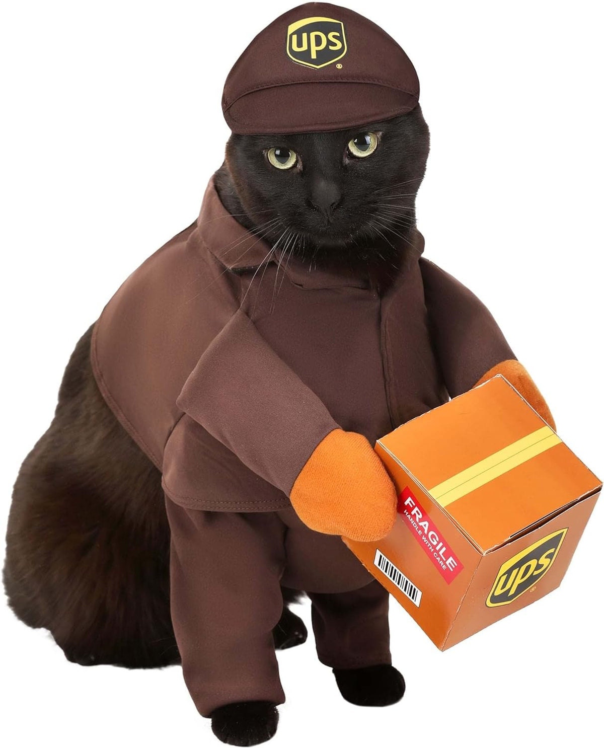 Delivery Driver Dog Costume
